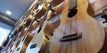 Ukulele sånger med ackord: Lär dig spela genom populära melodier